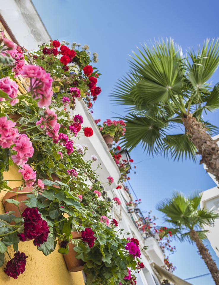 Calle de La Palma - Restaurante El Faro de Cádiz